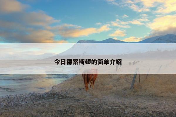 今日德累斯顿的简单介绍