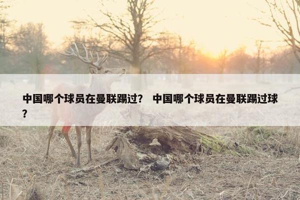 中国哪个球员在曼联踢过？ 中国哪个球员在曼联踢过球？
