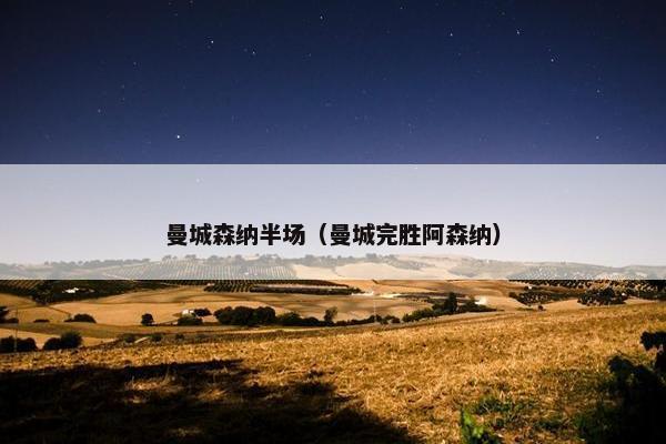 曼城森纳半场（曼城完胜阿森纳）