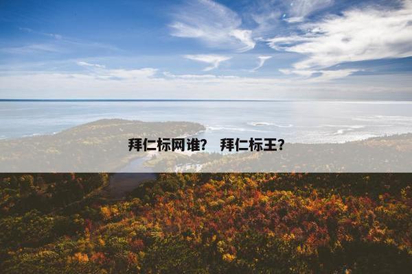 拜仁标网谁？ 拜仁标王？