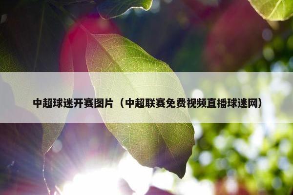 中超球迷开赛图片（中超联赛免费视频直播球迷网）