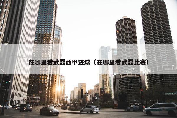 在哪里看武磊西甲进球（在哪里看武磊比赛）