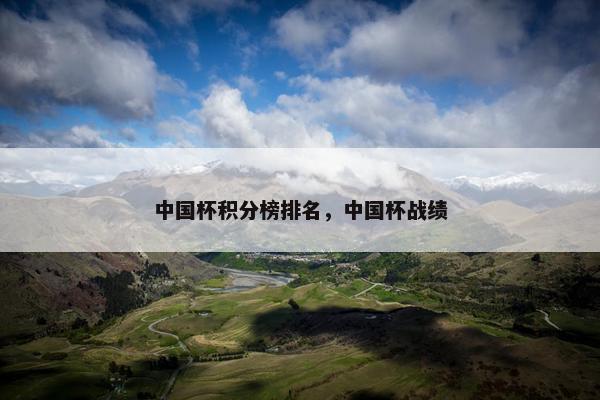 中国杯积分榜排名，中国杯战绩