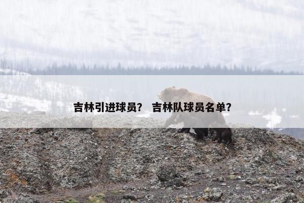 吉林引进球员？ 吉林队球员名单？