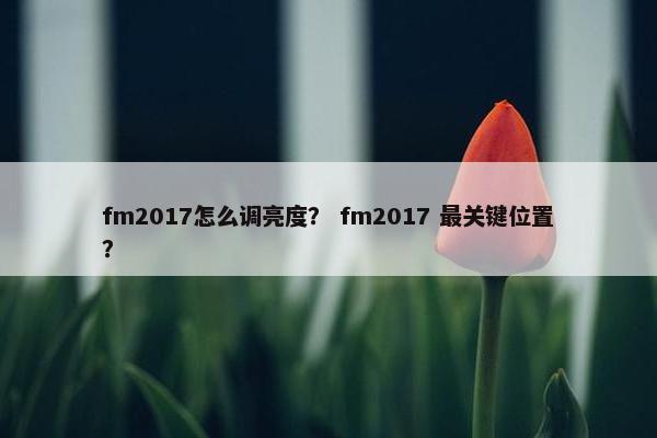 fm2017怎么调亮度？ fm2017 最关键位置？