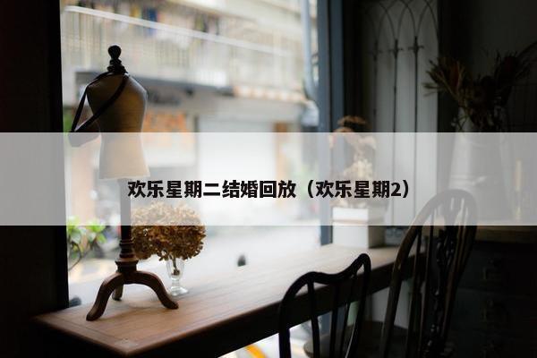 欢乐星期二结婚回放（欢乐星期2）