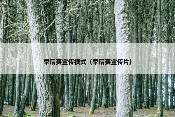 季后赛宣传模式（季后赛宣传片）