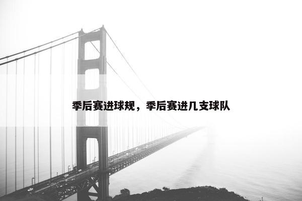 季后赛进球规，季后赛进几支球队