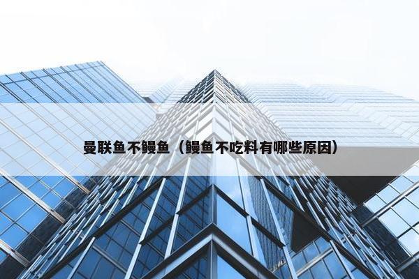 曼联鱼不鳗鱼（鳗鱼不吃料有哪些原因）