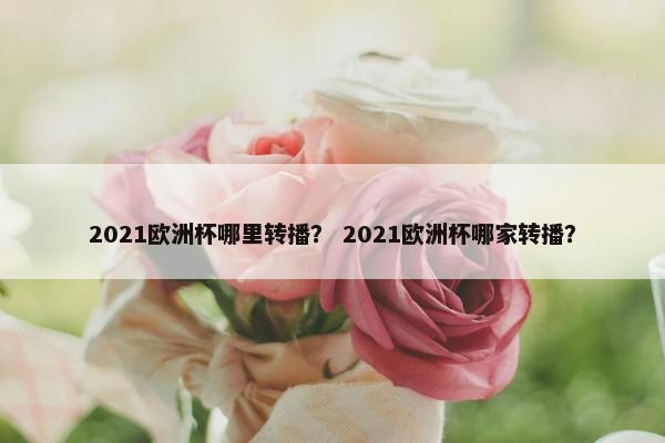 2021欧洲杯哪里转播？ 2021欧洲杯哪家转播？