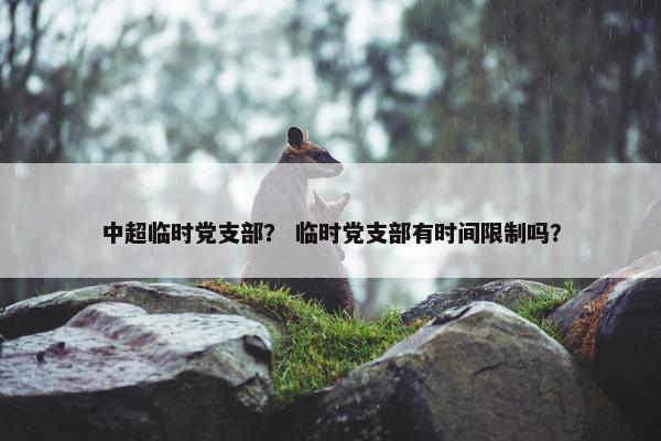 中超临时党支部？ 临时党支部有时间限制吗？