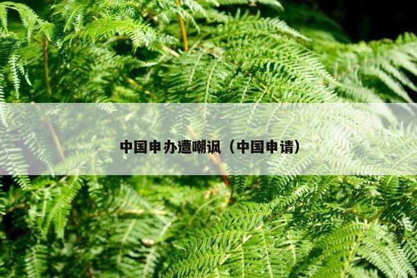 中国申办遭嘲讽（中国申请）