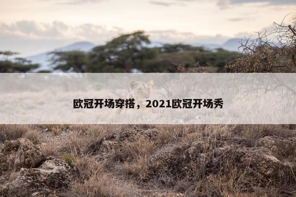 欧冠开场穿搭，2021欧冠开场秀