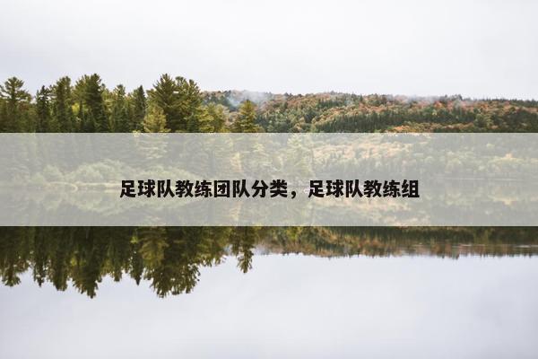 足球队教练团队分类，足球队教练组