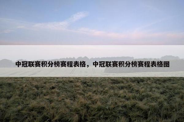 中冠联赛积分榜赛程表格，中冠联赛积分榜赛程表格图