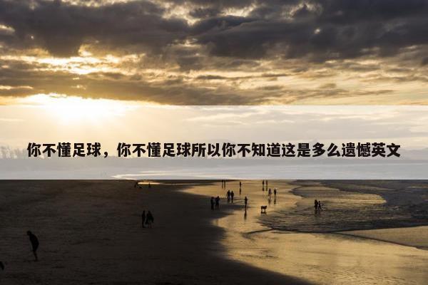 你不懂足球，你不懂足球所以你不知道这是多么遗憾英文