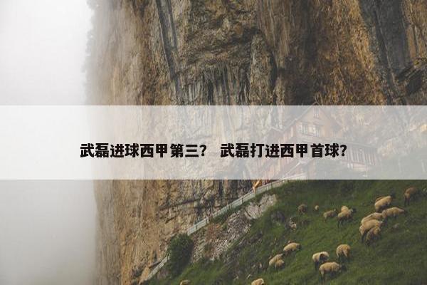 武磊进球西甲第三？ 武磊打进西甲首球？