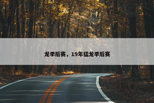 龙季后赛，19年猛龙季后赛
