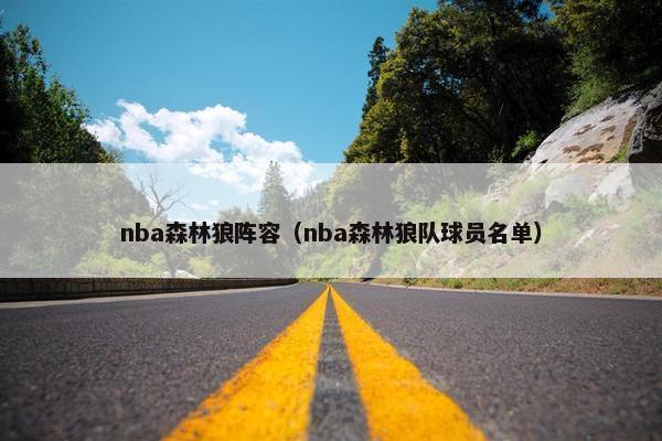 nba森林狼阵容（nba森林狼队球员名单）