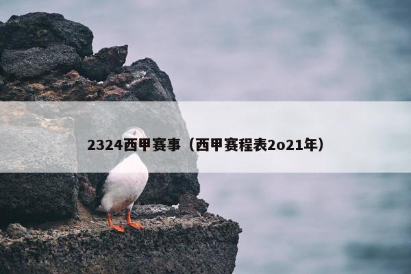 2324西甲赛事（西甲赛程表2o21年）