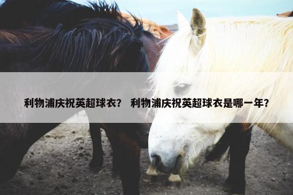 利物浦庆祝英超球衣？ 利物浦庆祝英超球衣是哪一年？
