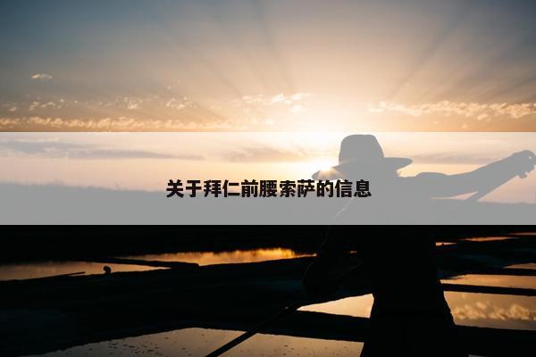 关于拜仁前腰索萨的信息