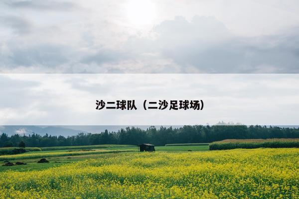 沙二球队（二沙足球场）