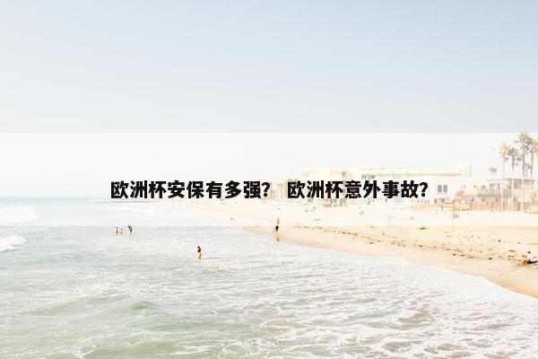 欧洲杯安保有多强？ 欧洲杯意外事故？