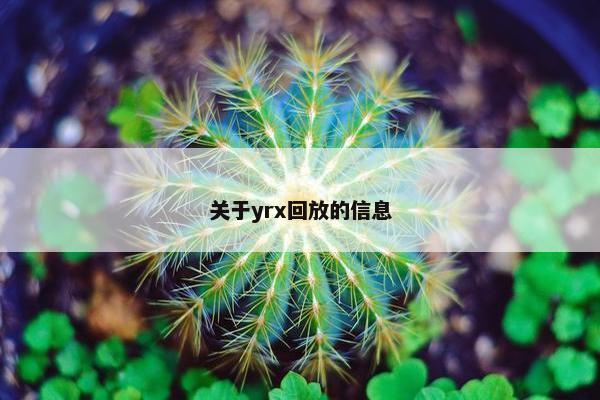 关于yrx回放的信息