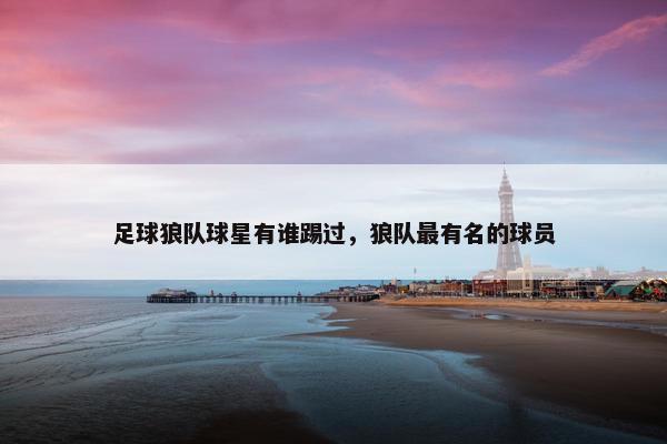 足球狼队球星有谁踢过，狼队最有名的球员