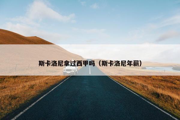 斯卡洛尼拿过西甲吗（斯卡洛尼年薪）