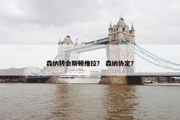森纳转会斯顿维拉？ 森纳协定？