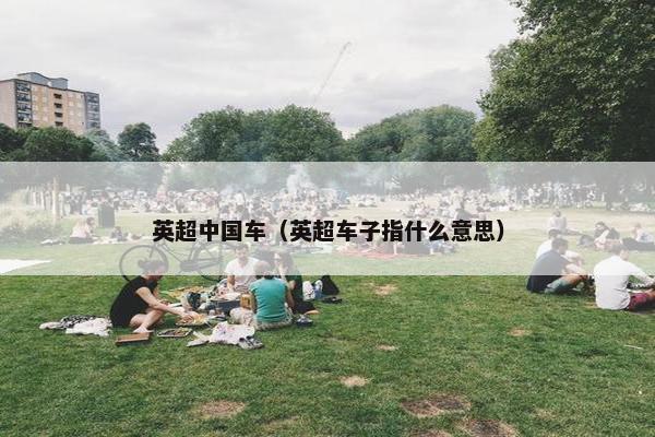 英超中国车（英超车子指什么意思）