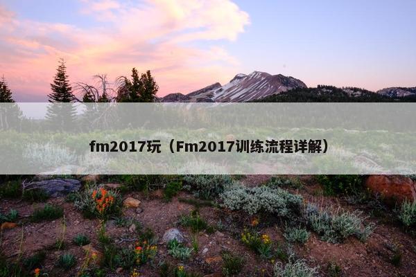 fm2017玩（Fm2017训练流程详解）