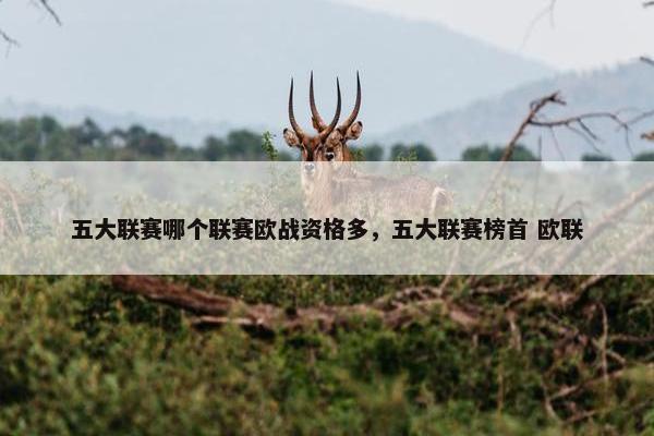 五大联赛哪个联赛欧战资格多，五大联赛榜首 欧联