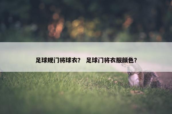 足球规门将球衣？ 足球门将衣服颜色？