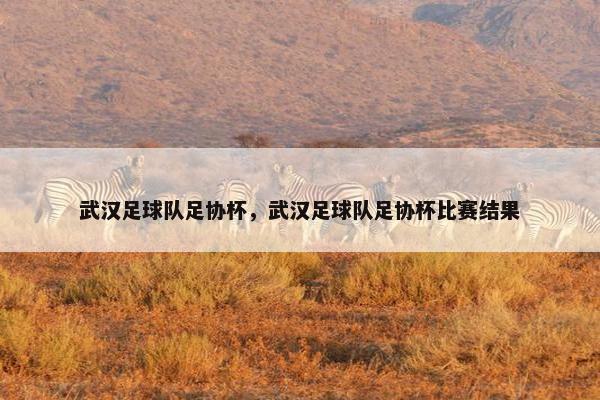 武汉足球队足协杯，武汉足球队足协杯比赛结果