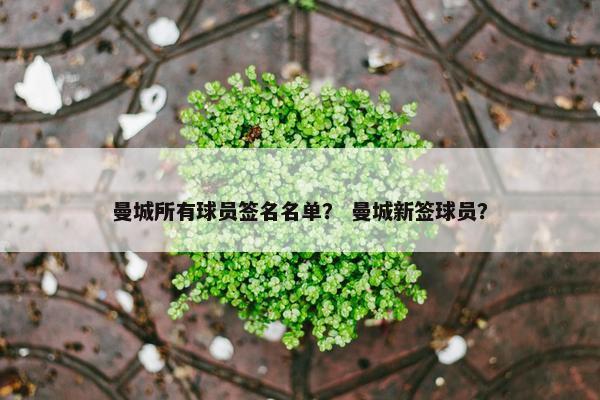 曼城所有球员签名名单？ 曼城新签球员？