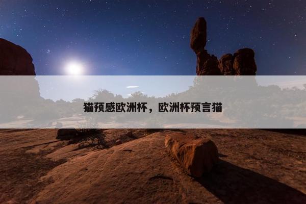 猫预感欧洲杯，欧洲杯预言猫