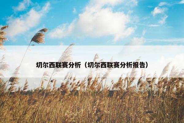 切尔西联赛分析（切尔西联赛分析报告）