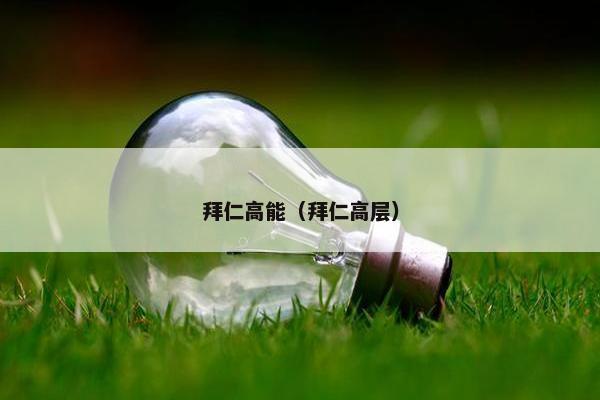 拜仁高能（拜仁高层）