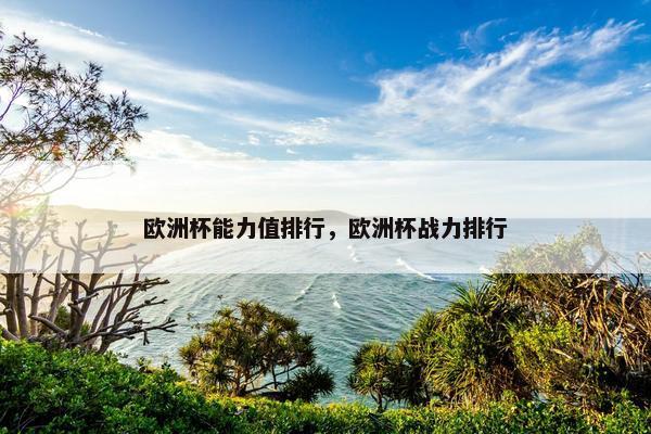 欧洲杯能力值排行，欧洲杯战力排行