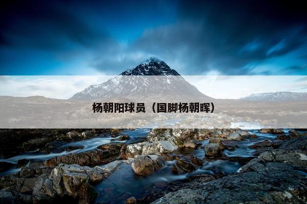 杨朝阳球员（国脚杨朝晖）