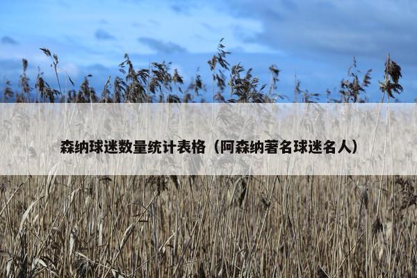 森纳球迷数量统计表格（阿森纳著名球迷名人）
