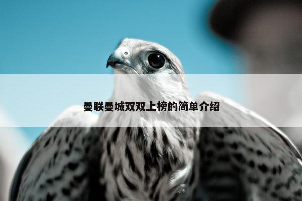 曼联曼城双双上榜的简单介绍