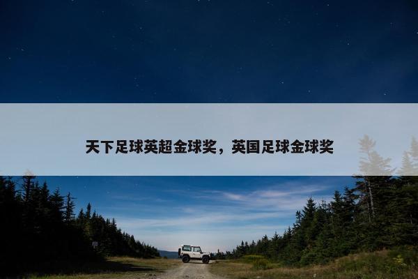 天下足球英超金球奖，英国足球金球奖