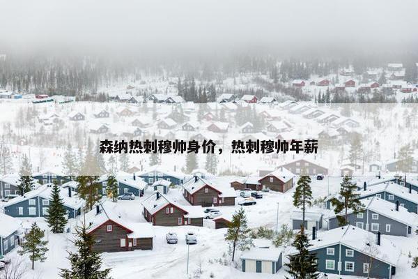 森纳热刺穆帅身价，热刺穆帅年薪