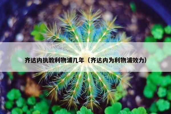 齐达内执教利物浦几年（齐达内为利物浦效力）