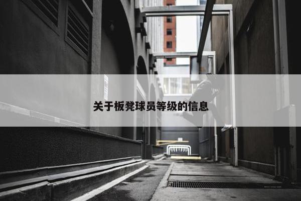 关于板凳球员等级的信息
