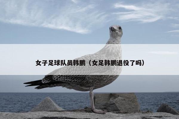 女子足球队员韩鹏（女足韩鹏退役了吗）